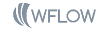 Logo WFlow